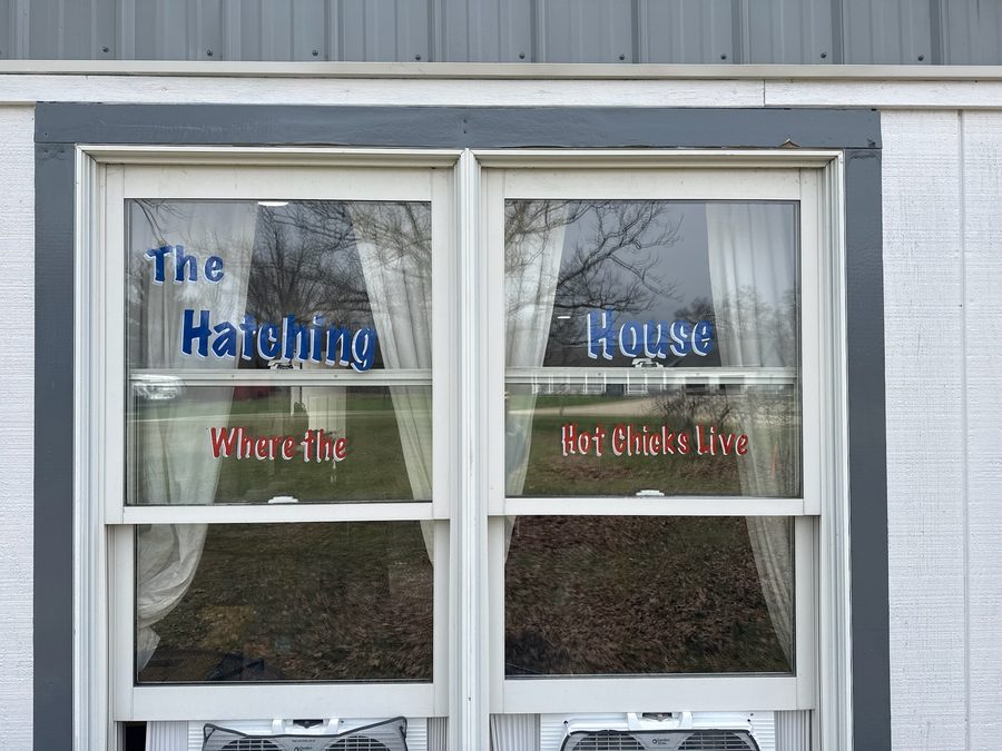 The Hatching House window sign