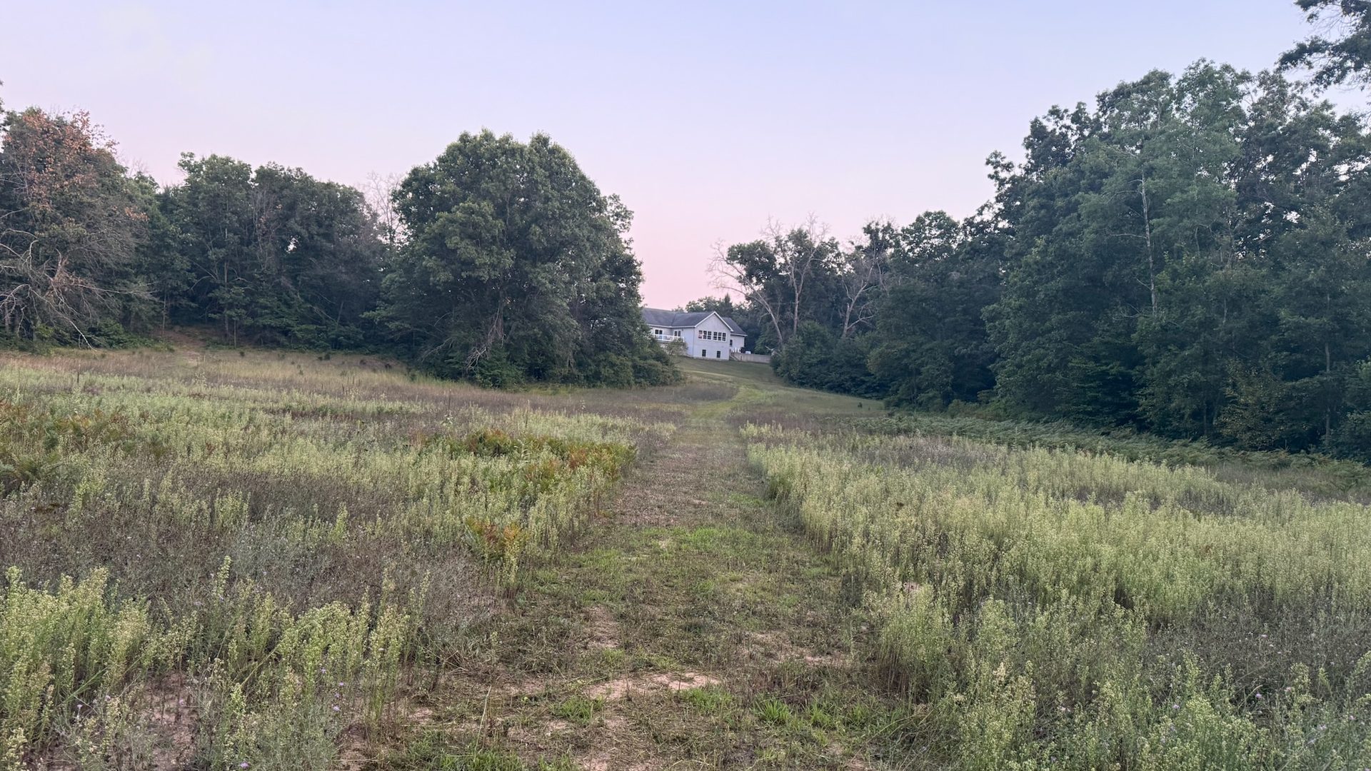 Mowed path running up through open field to the treeline at dusk